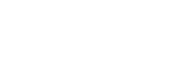 Surprise Services Available